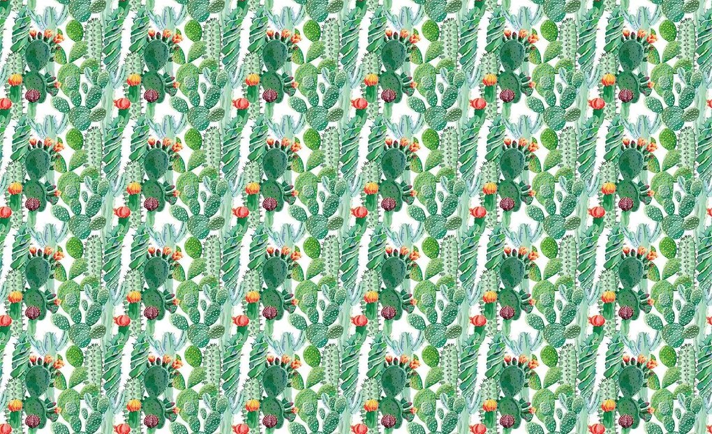 Fototapet - cactus (152,5x104 cm)