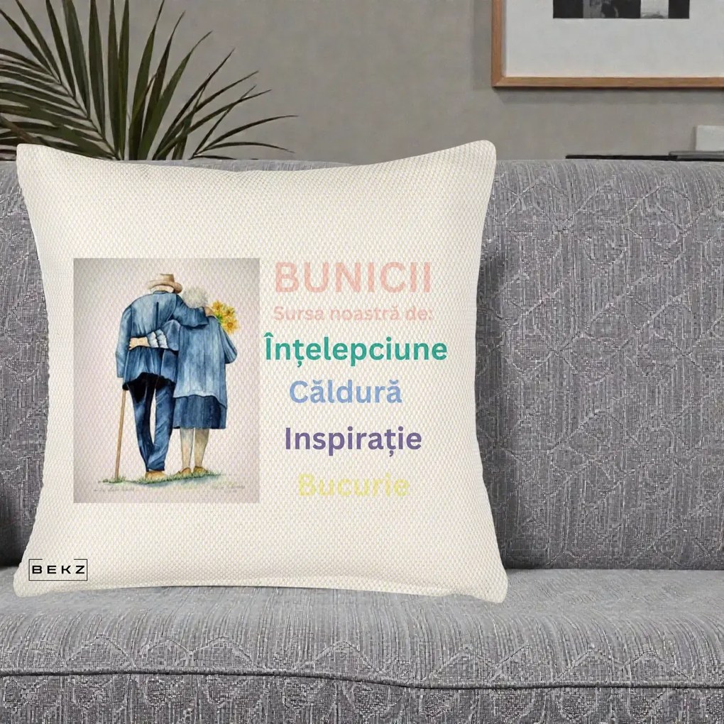 Cadou pentru Bunici - Perna Personalizata Bunicii Sursa Intelepciune Caldura Acuarela, 40x40 cm, Crem Reliefat, Husa Detasabila, Perna Inclusa, BEKZ®