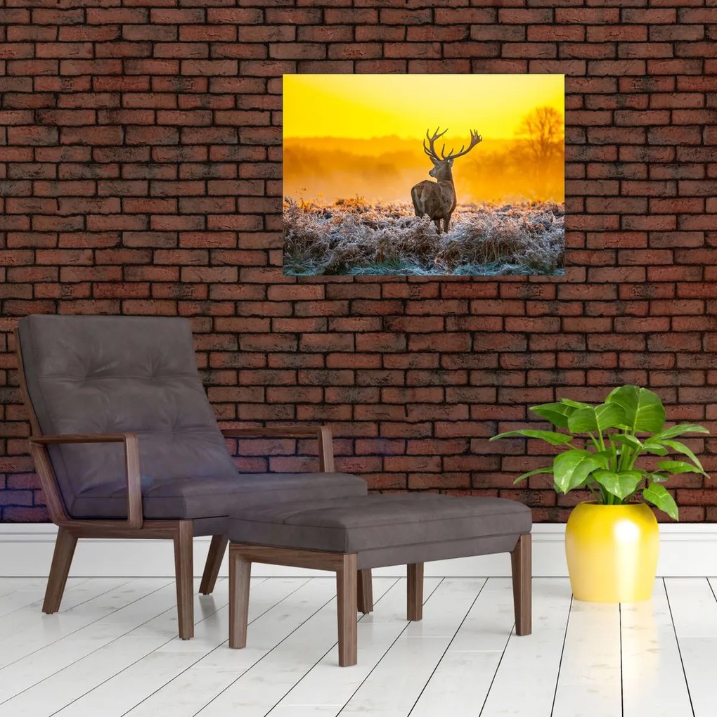 Tablou pe sticlă - Cerb la răsăritul soarelui (70x50 cm)