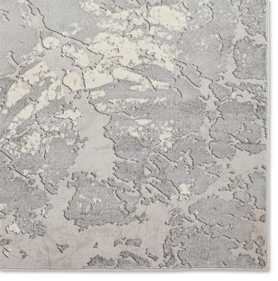 Covor gri/bej 220x160 cm Apollo - Think Rugs