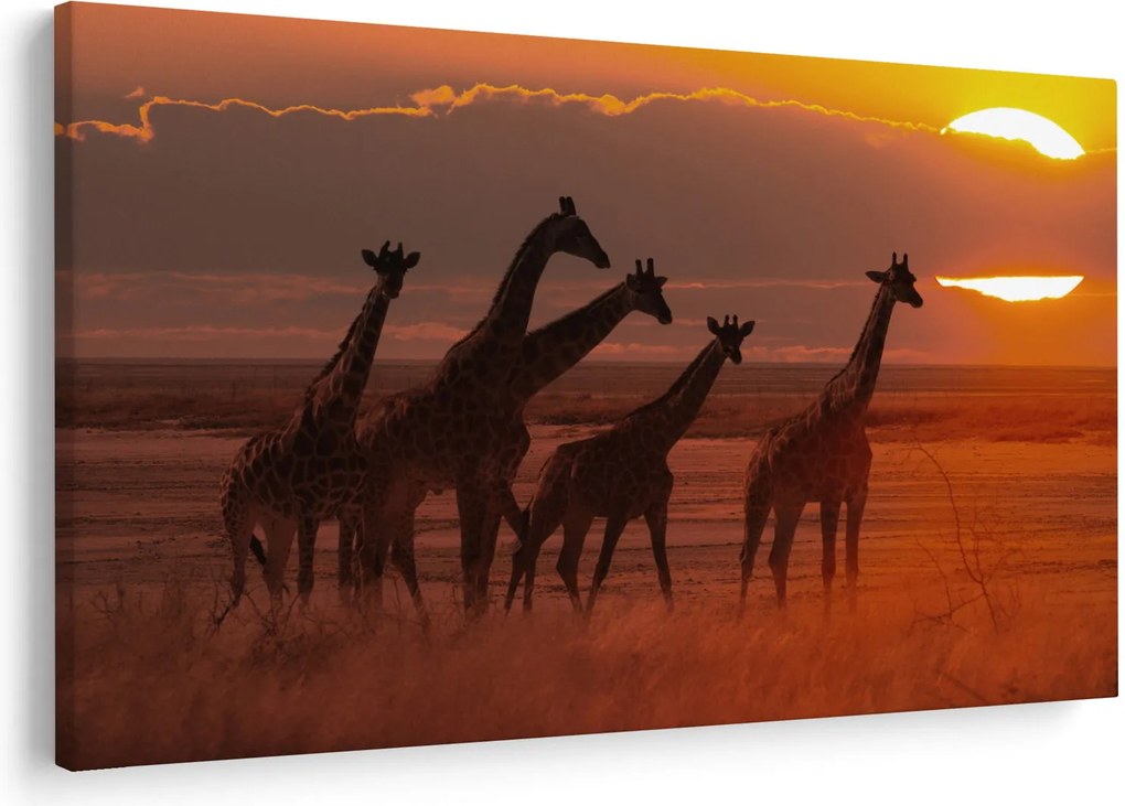 Tablou - Girafe în savana africană (90x60 cm)