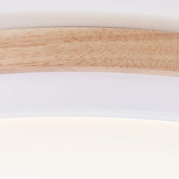 Plafonieră LED dimabilă Brilliant BAARLO LED/24W/230V d. 35 cm alb