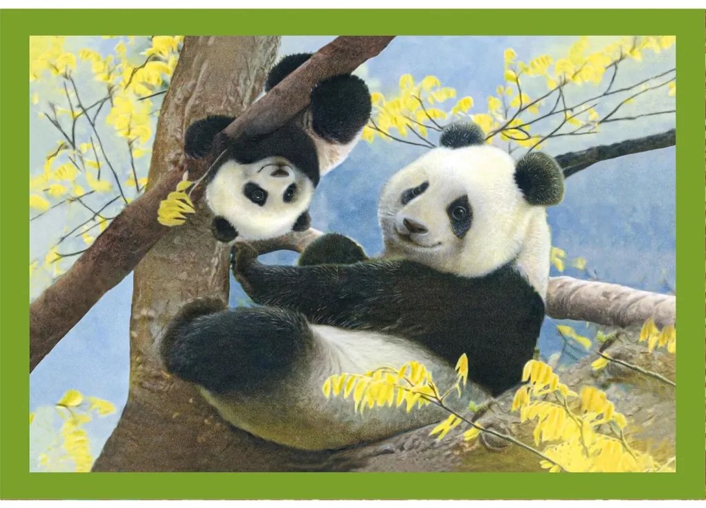 Animale Baby Cuddles Puzzle 4 în 1 Clementoni
