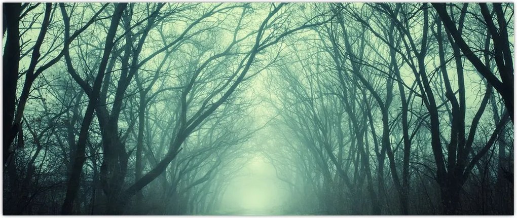 Tablou - Alee cu copaci (120x50 cm)