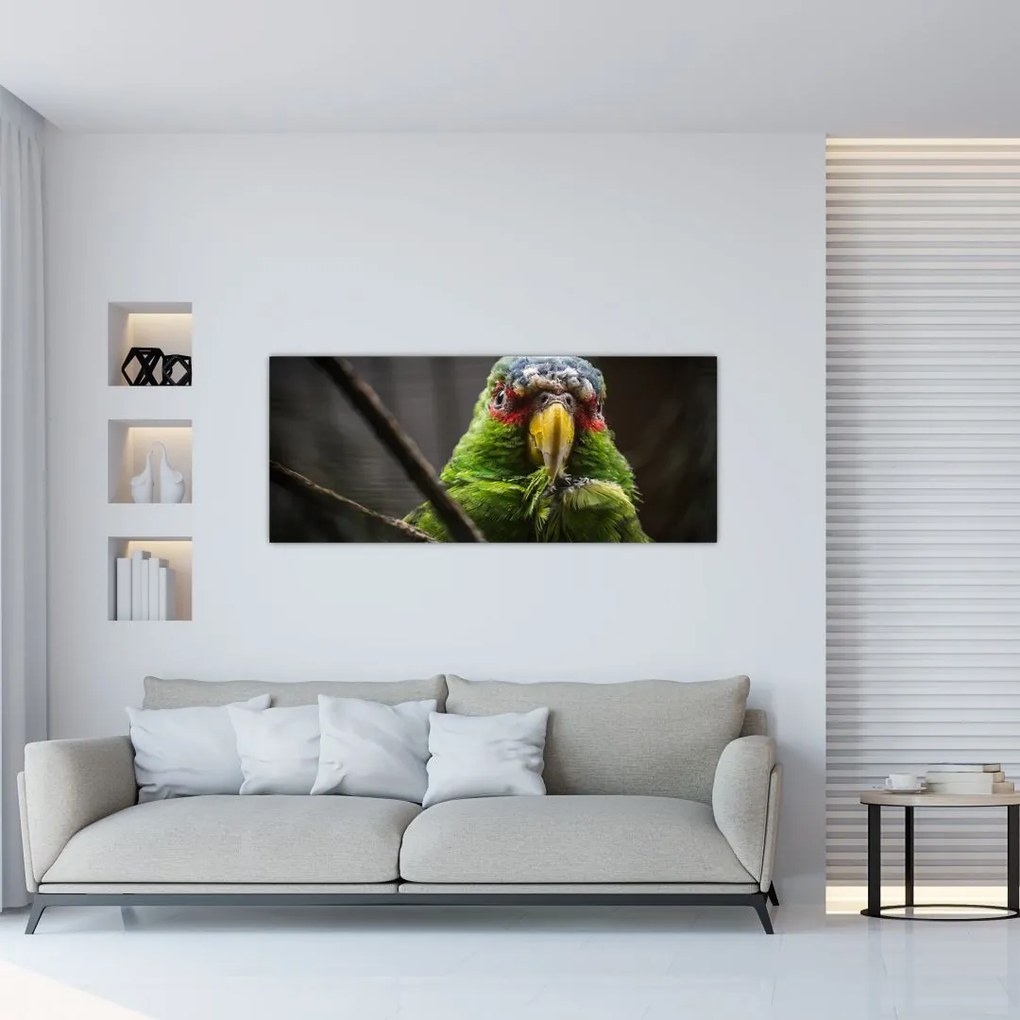 Tablou cu papagal (120x50 cm), în 40 de alte dimensiuni noi