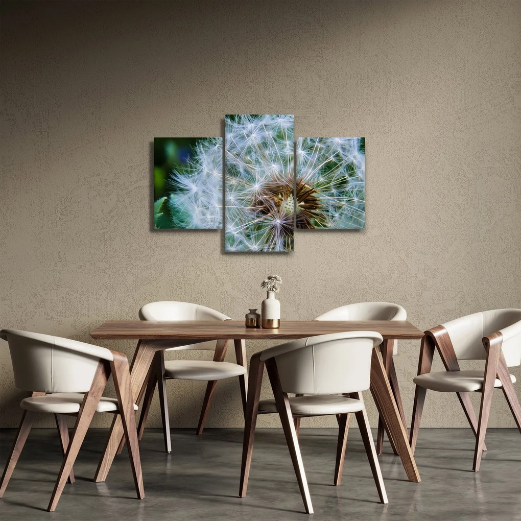 Tabloul cu păpădie desflorit (90x60 cm)