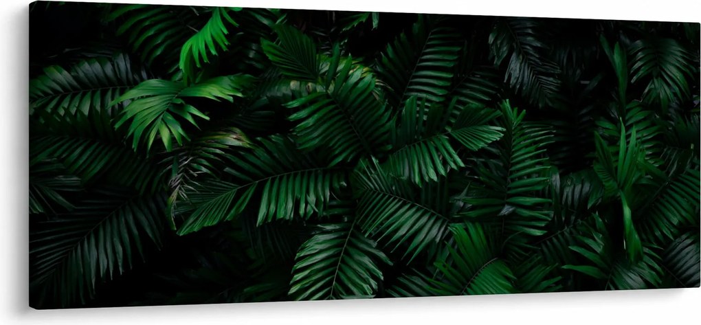 Tablou - Păpădii tropicale (120x50 cm)