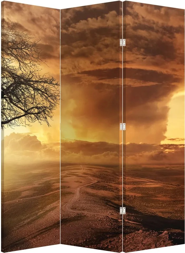 Paravan - Norii portocalii (126x170 cm)