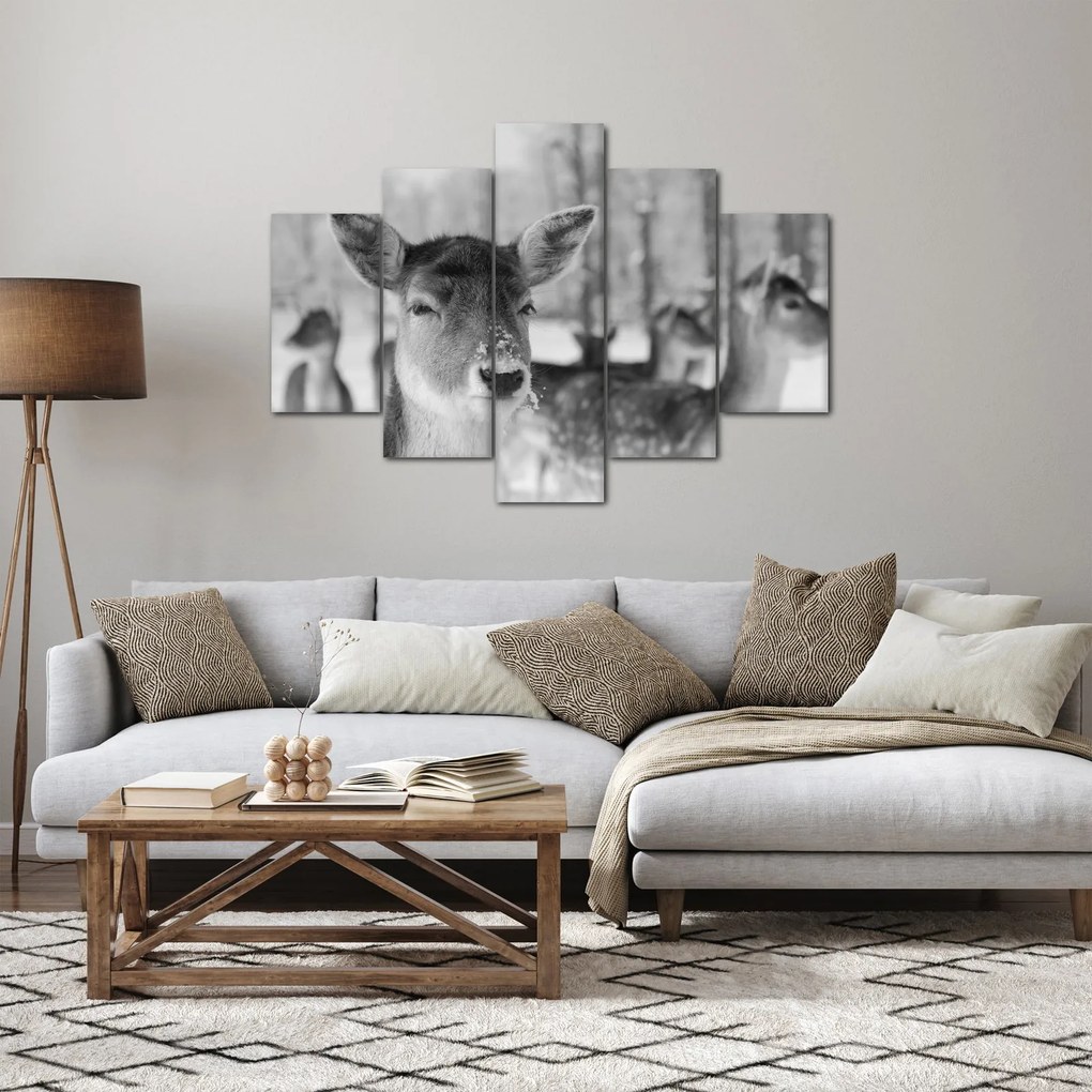 Tablou - Cerbi,alb-negru (150x105 cm)