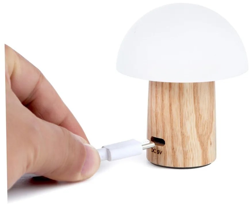 Veioză în culoare naturală LED cu intensitate reglabilă din lemn de frasin (înălțime 7 cm) Alice – Gingko