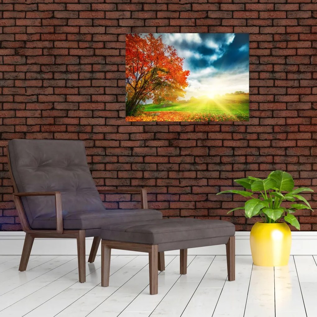 Tablou pe sticlă peisaj cu scufundat în razele solare (70x50 cm)
