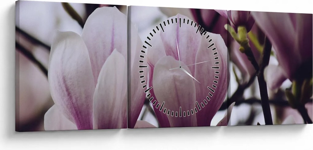 Tablou - Magnolie (cu ceas) (90x30 cm)