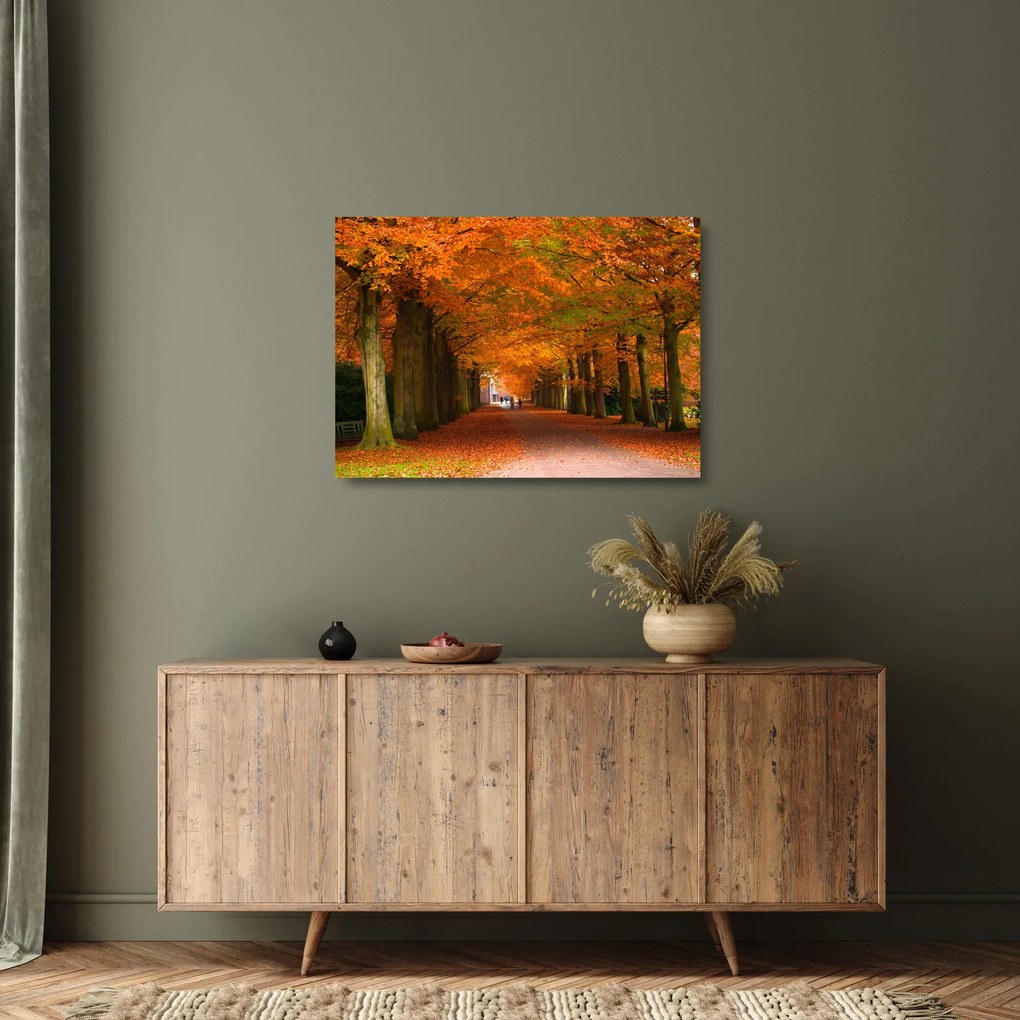 Tablou pe sticlă - Bulevardul de copaci în toamnă (70x50 cm)