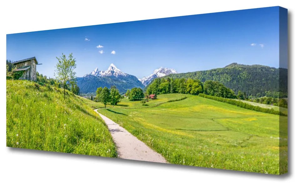 Tablou pe panza canvas Meadow Potecă Natura Verde Maro