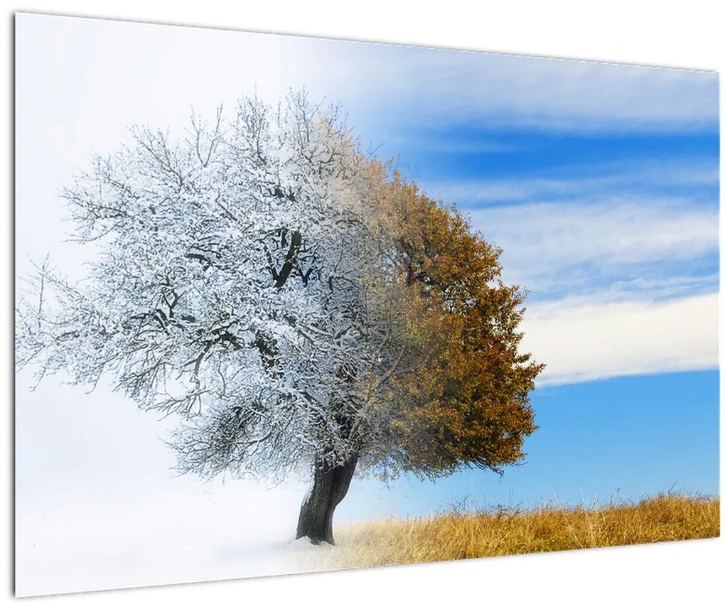 Tablou - Schimbarea anotimpurilor (90x60 cm)