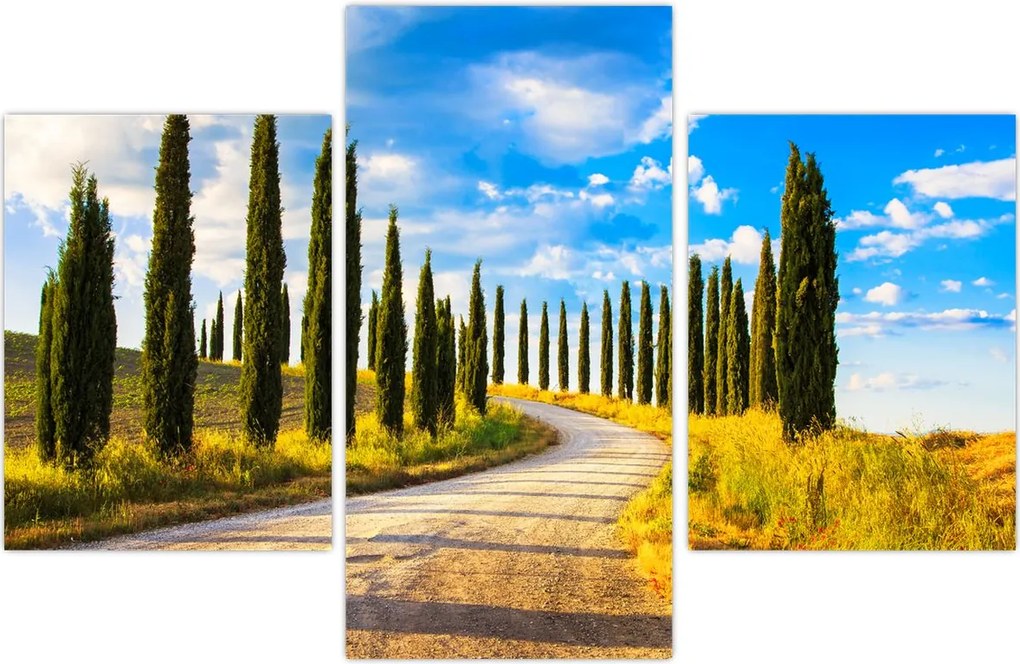 Tablou - Peisaj (90x60 cm)