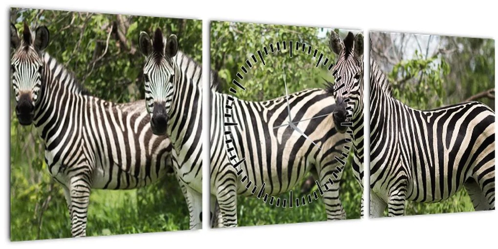 Tablou cu zebre (cu ceas) (90x30 cm)