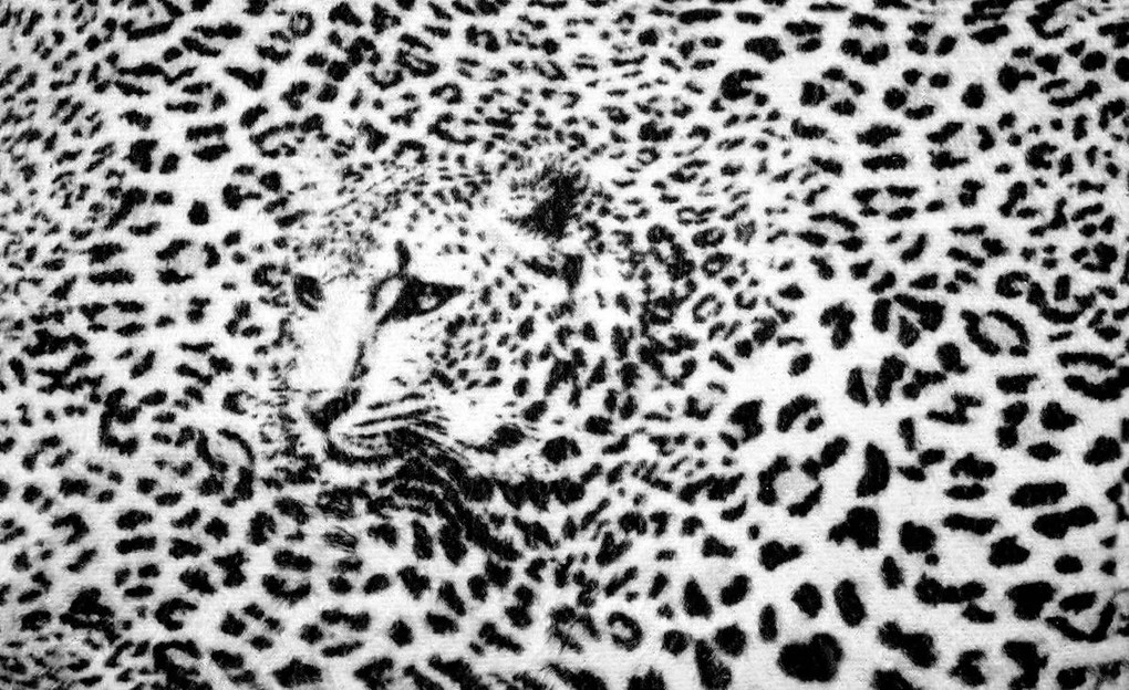 Fototapet - Albnegru gepard (254x184 cm)