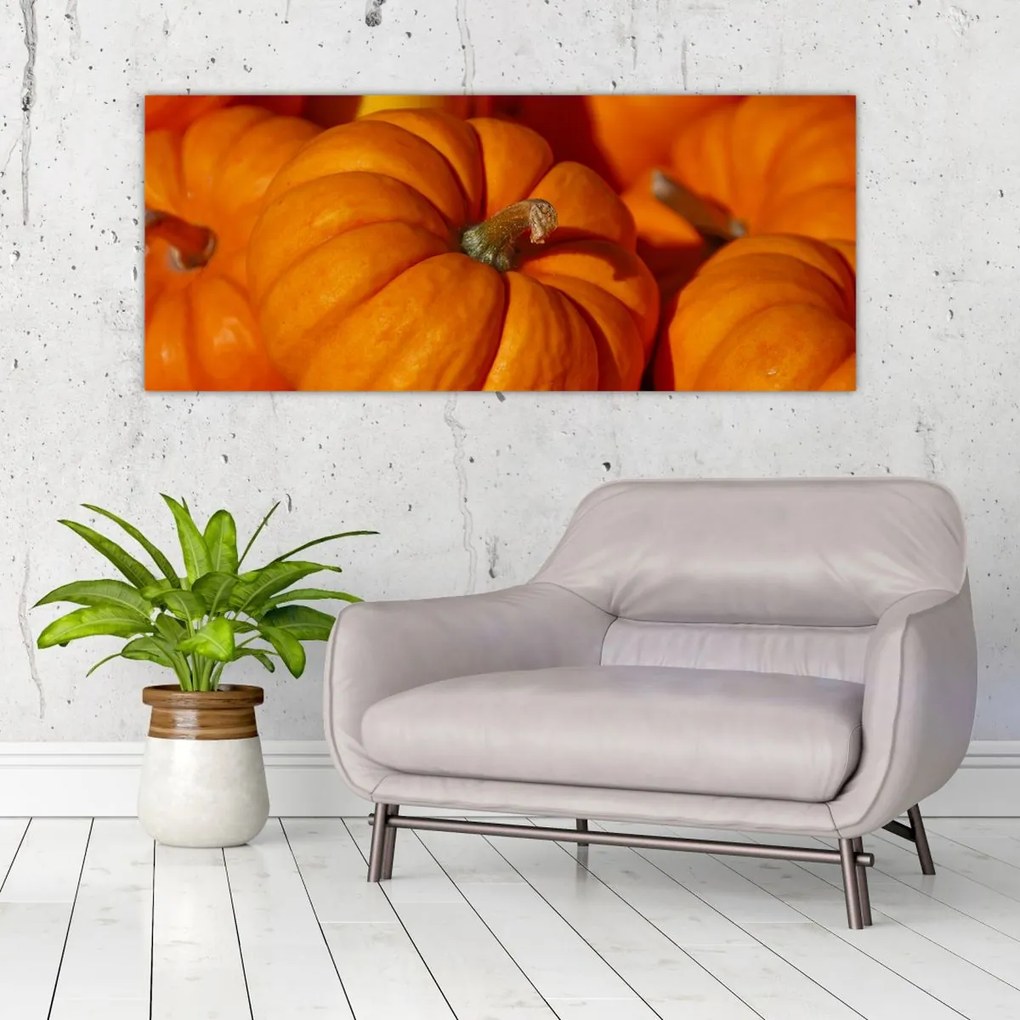 Tablou - Dovleci mari (120x50 cm)