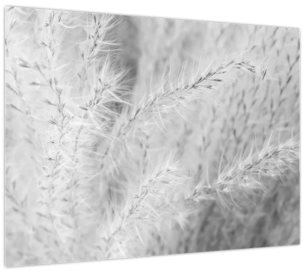 Tablou - Iarbă de pampas N⁰1 (70x50 cm)