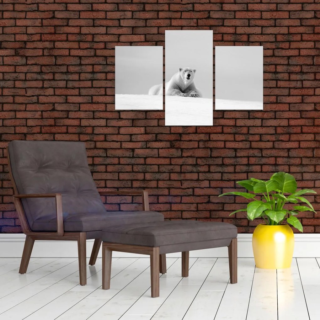 Tablou - Urs polar,alb-negru (90x60 cm)