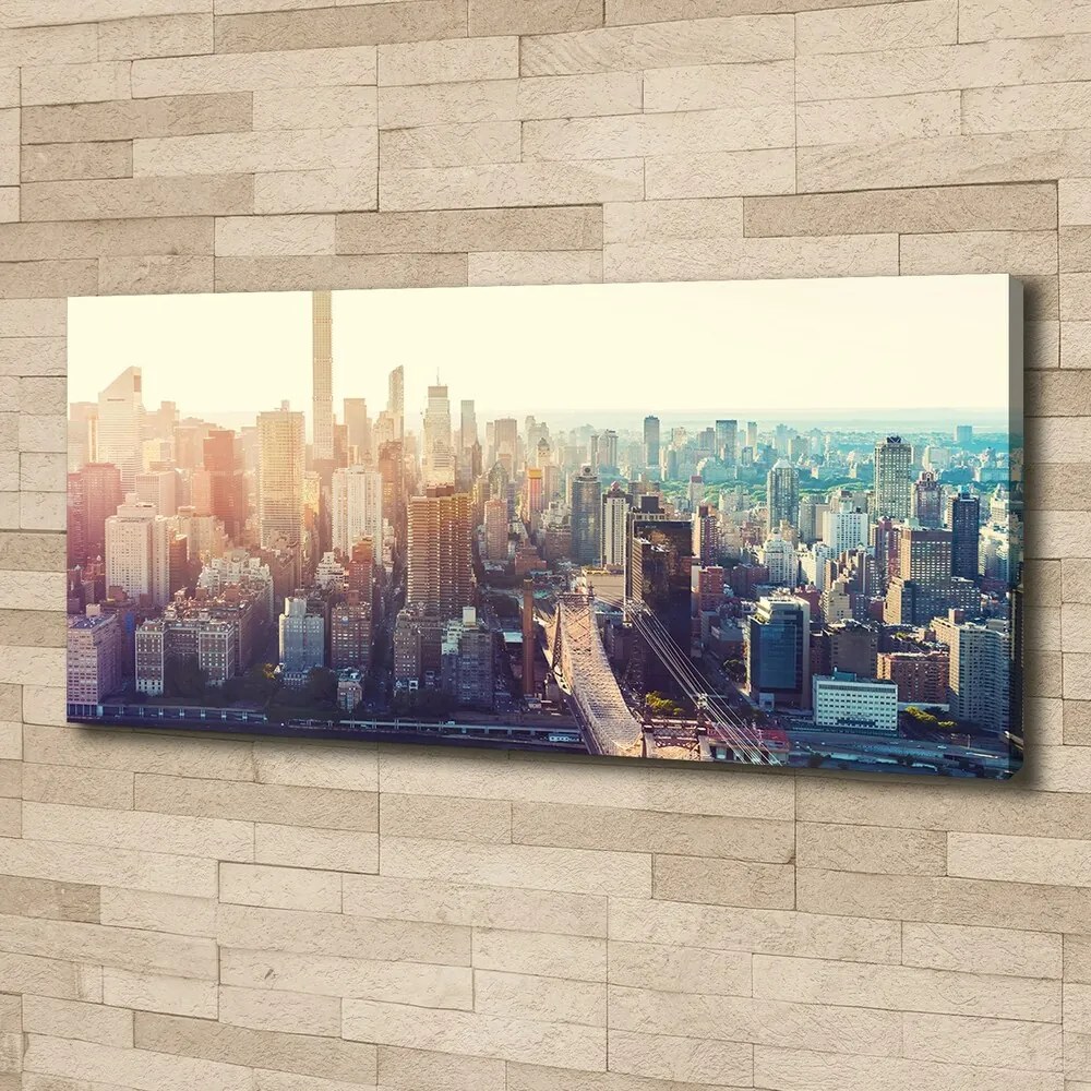 Imprimare tablou canvas New york pasăre de zbor