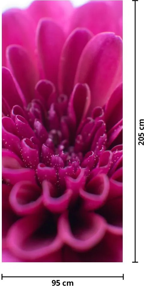 Fototapet pentru ușă - Floarea (95x205cm)