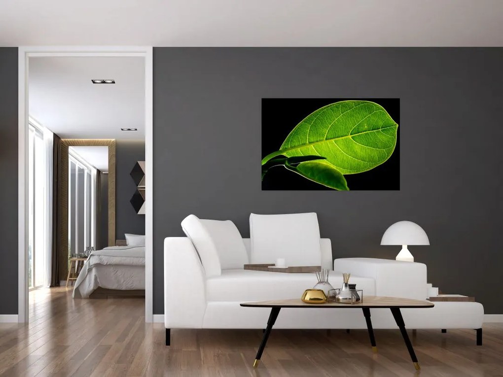 Tablou - frunză verde (90x60 cm)