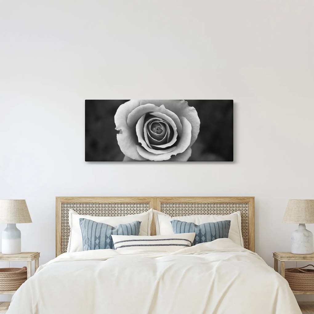 Tablou - Trandafir (120x50 cm)