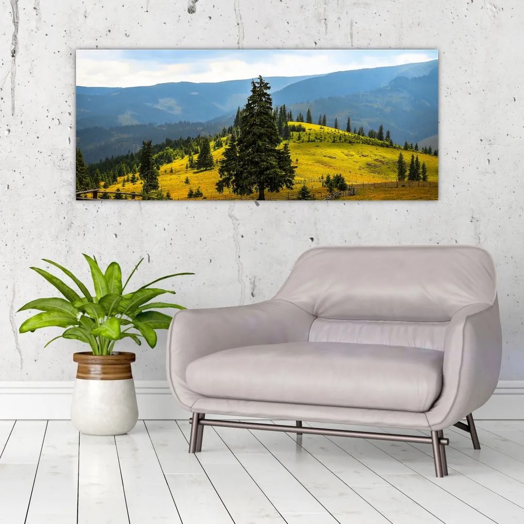 Tablou - Lunca de munte (120x50 cm)