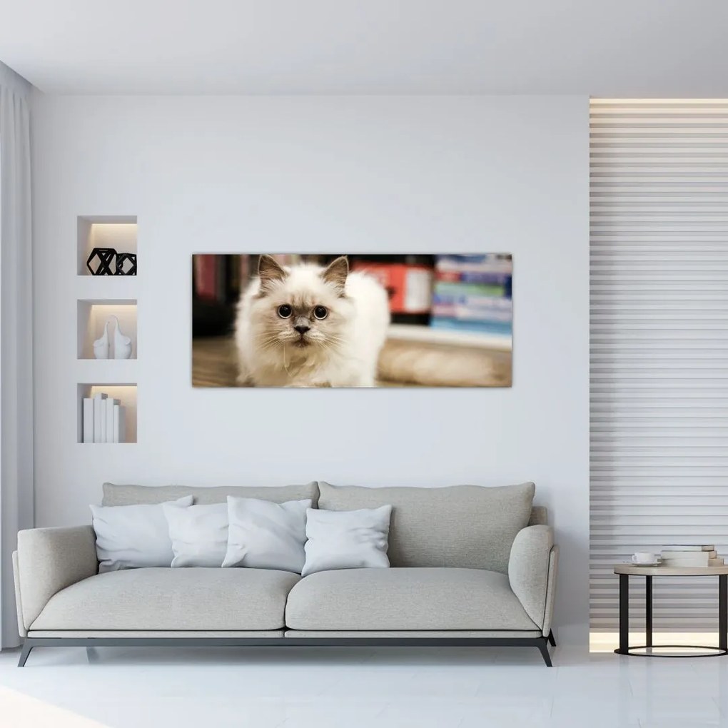 Tablou cu pisica albăr (120x50 cm)