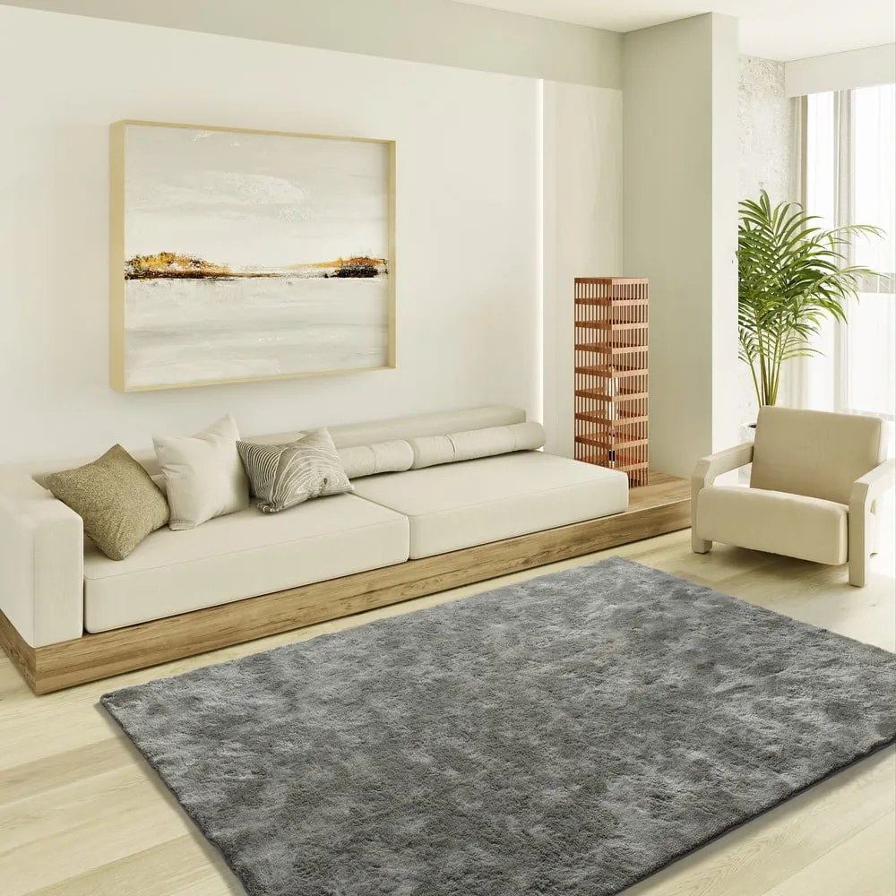 Covor gri antracit 80x150 cm Roma – Universal