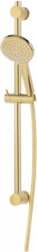 Set de dus cu bara FDesign Inula 1 functie 73 cm auriu lucios