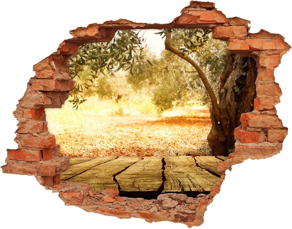 Fototapet un zid spart cu priveliște Oliv