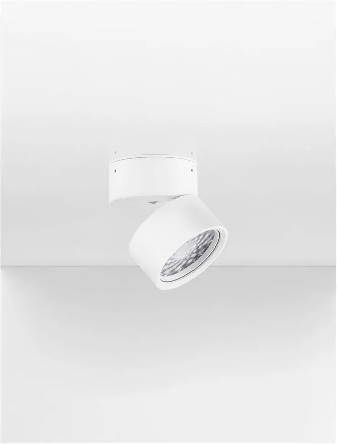 Spot LED aplicat directionabil diametru 8cm PULL alb, NVL-9030771