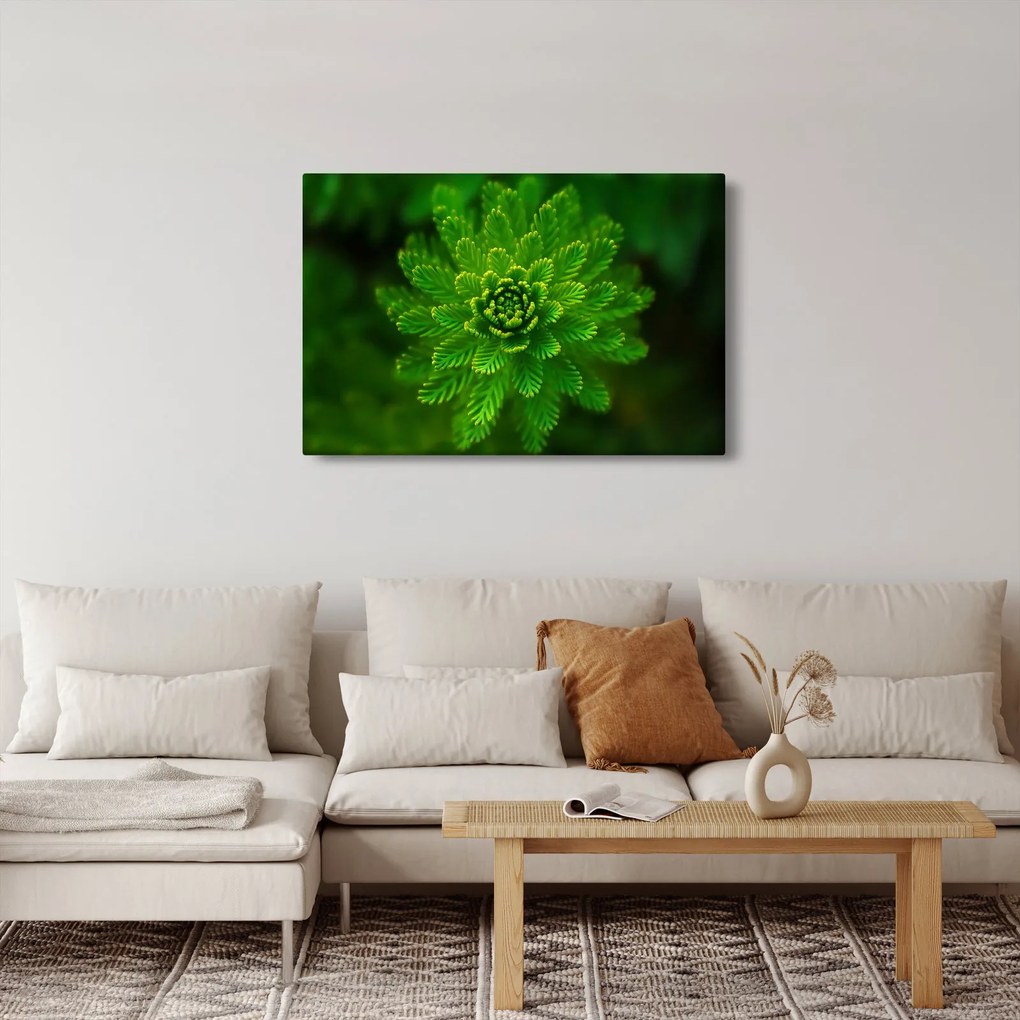 Tablou cu coniferi (90x60 cm)