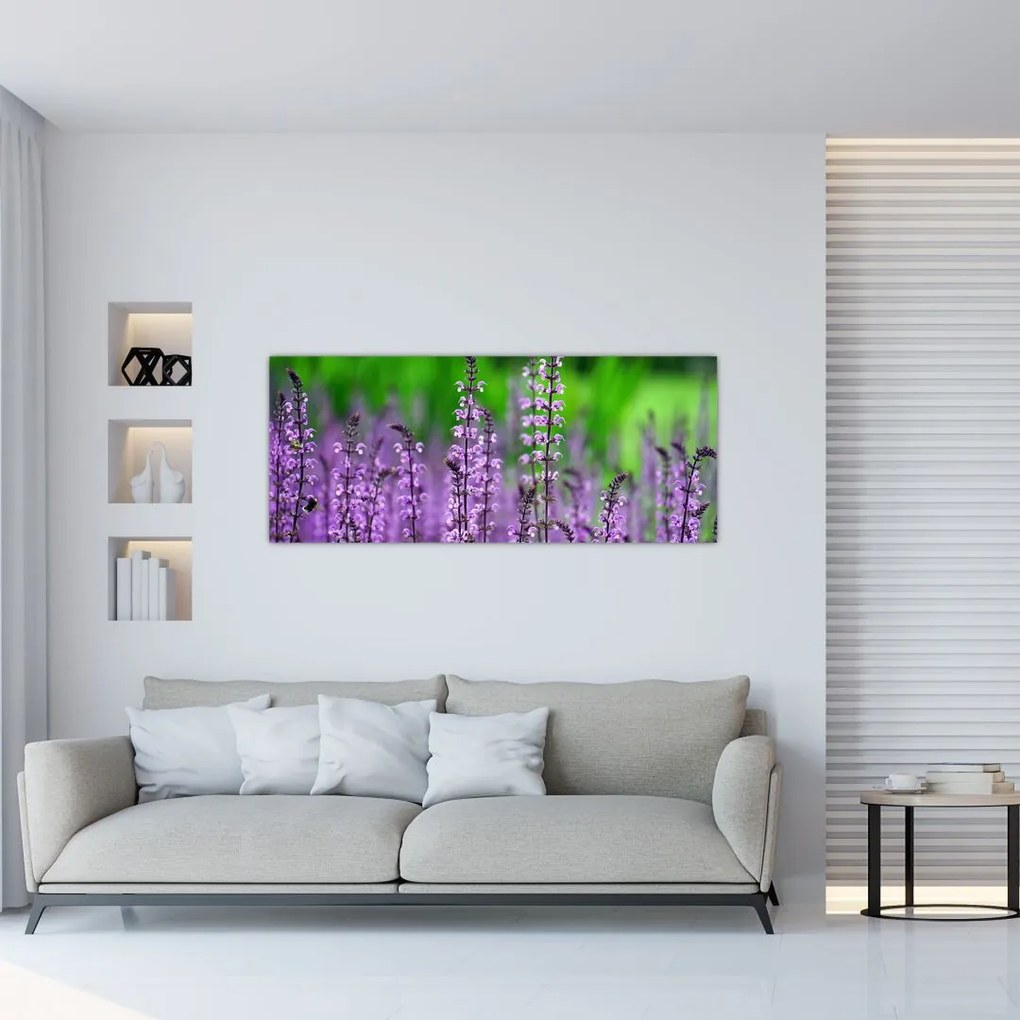 Tablou cu flori de luncă violete (120x50 cm)