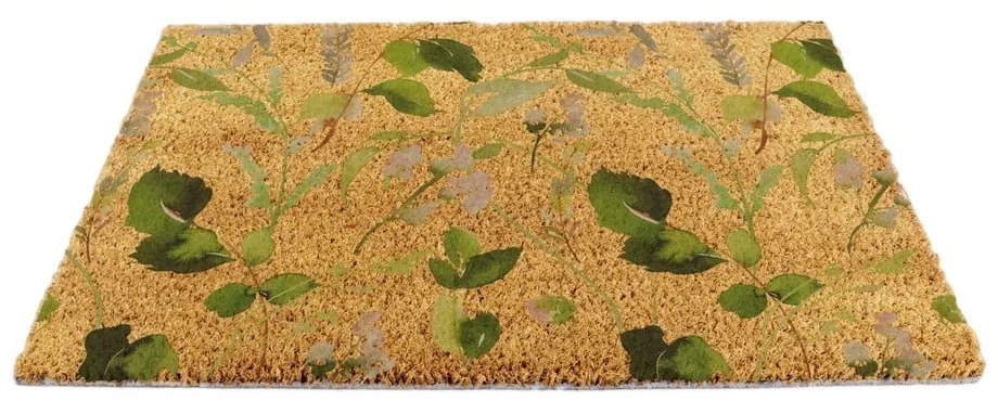 Covoraș de intrare din fibre de nucă de cocos 40x60 cm Watercolour Leaves – Artsy Doormats