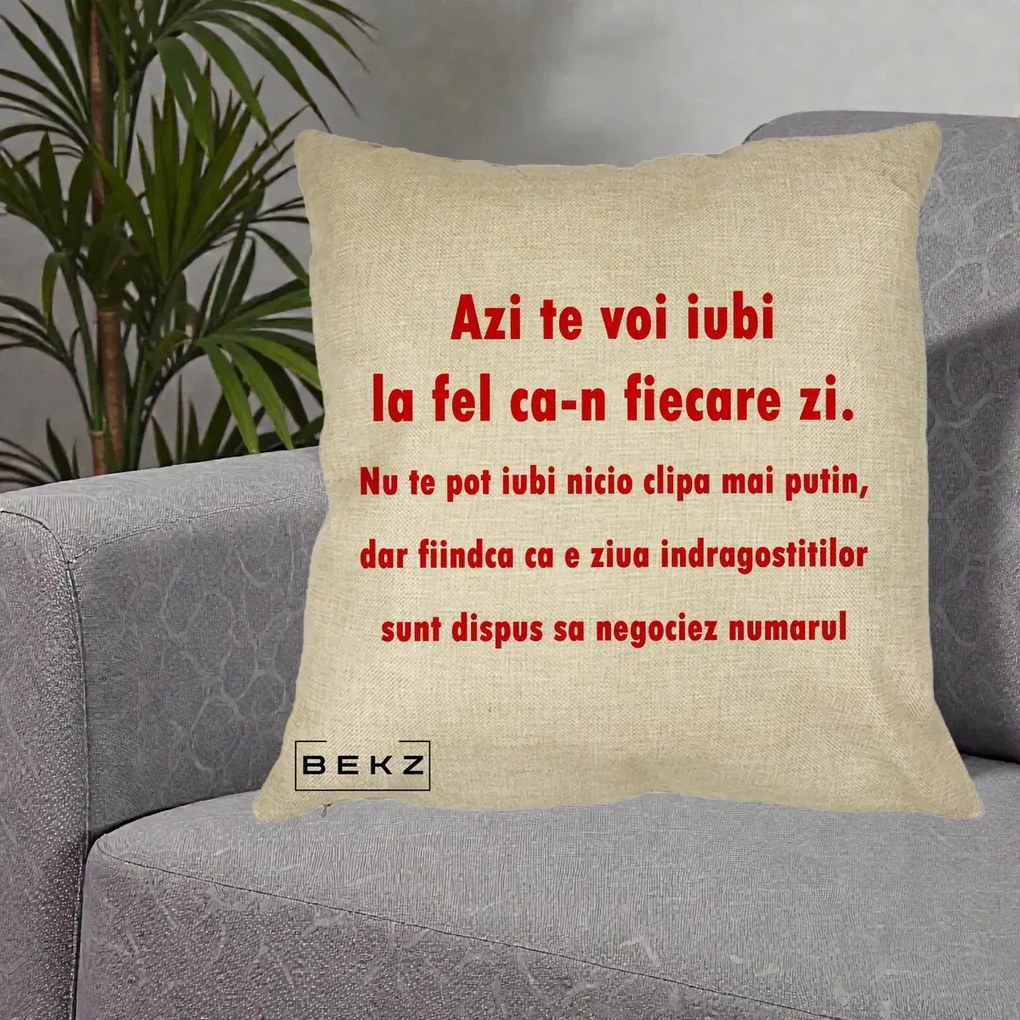 Cadou pentru Iubita - Perna Personalizata Azi Te Voi Iubi, 40x40 cm, Crem, Husa Detasabila, Perna Inclusa, BEKZ®