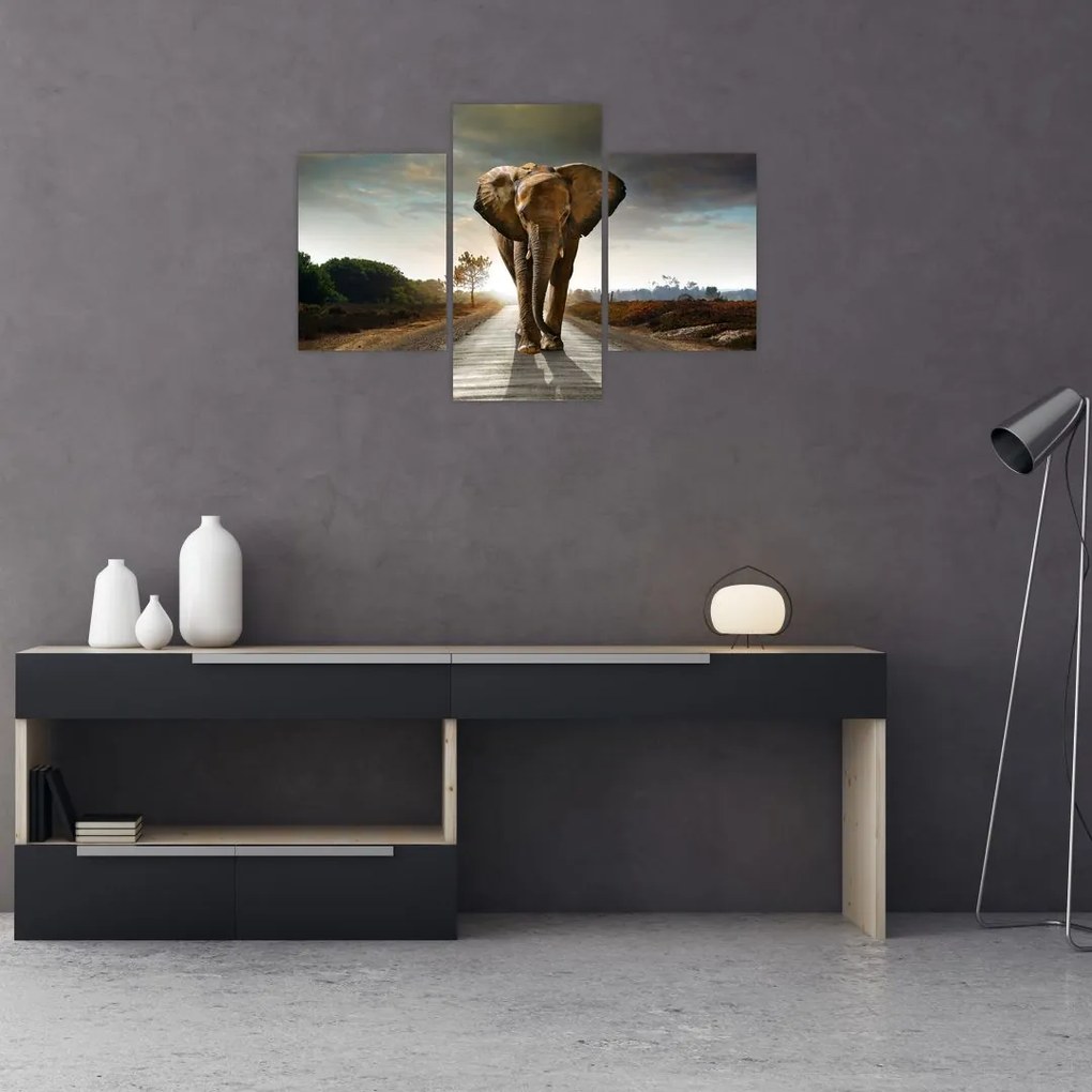 Tablou cu elefant (90x60 cm)