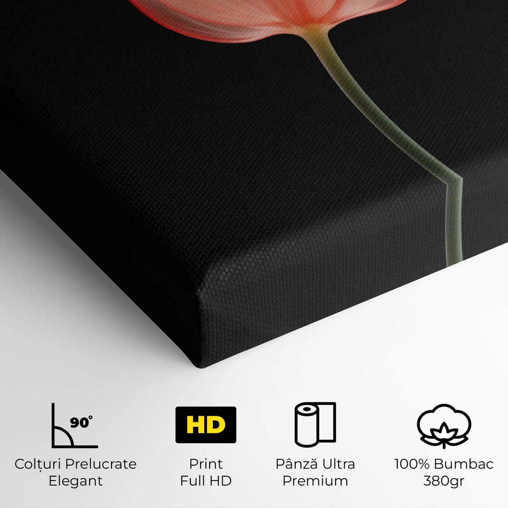 Tablou Canvas, 100x200cm, Dormitor si Living, Flori, Lalele, Pastel Pink Tulip