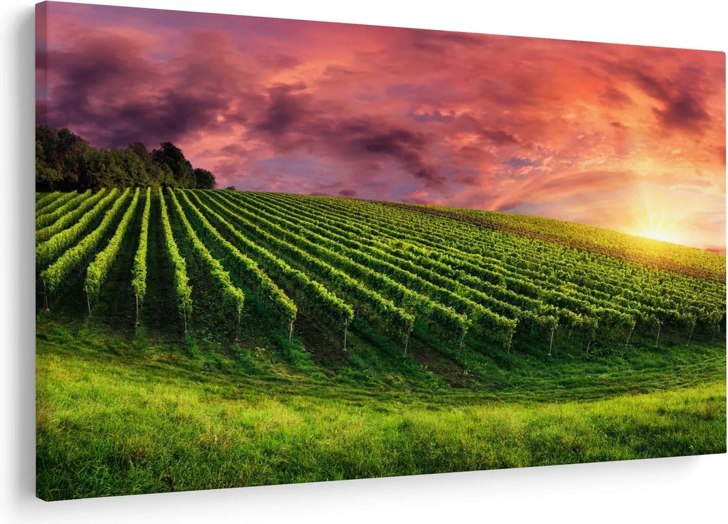 Tablou cu vie cu cerul color (90x60 cm)