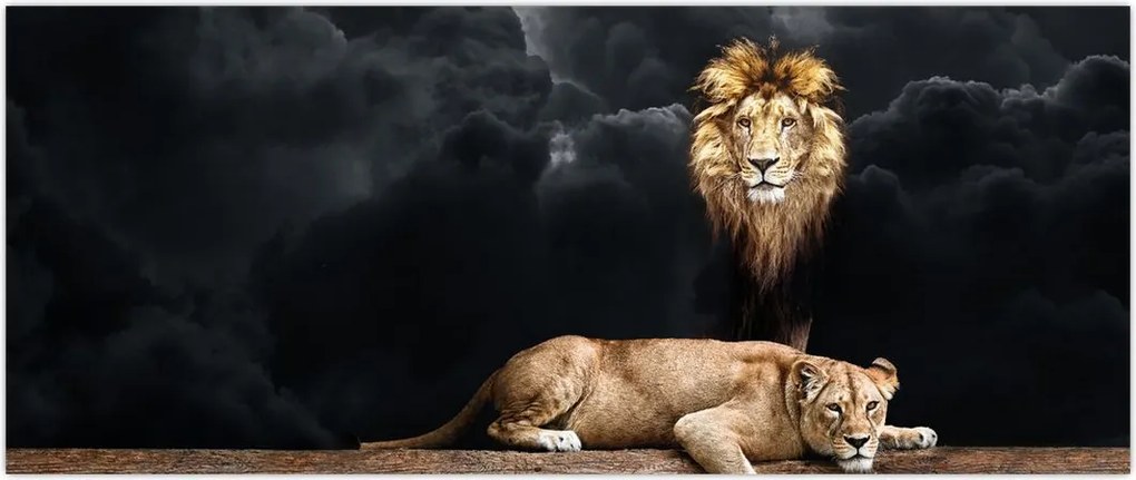 Tablou - Leu și leoaică (120x50 cm)