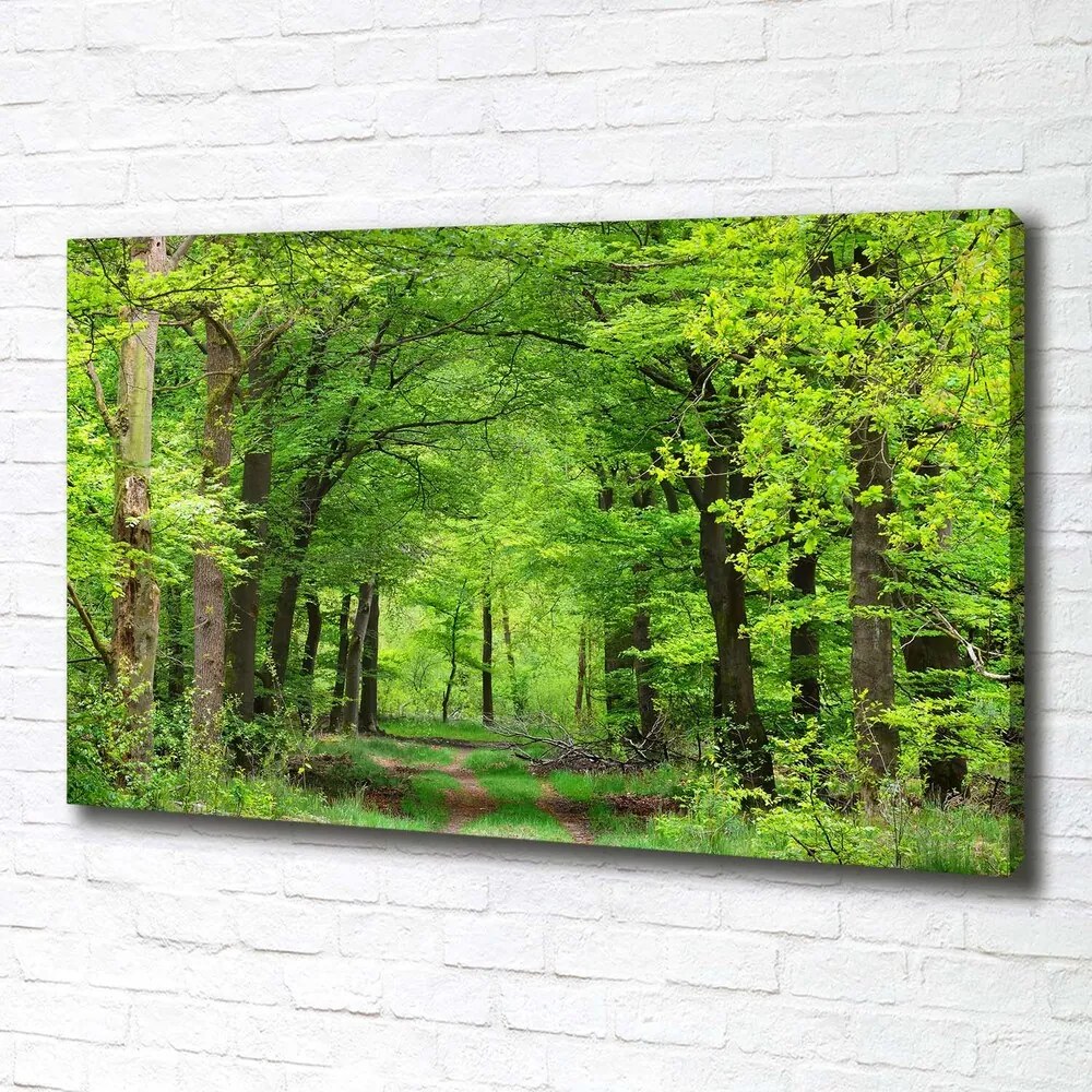 Tablou canvas Pădure de primăvară