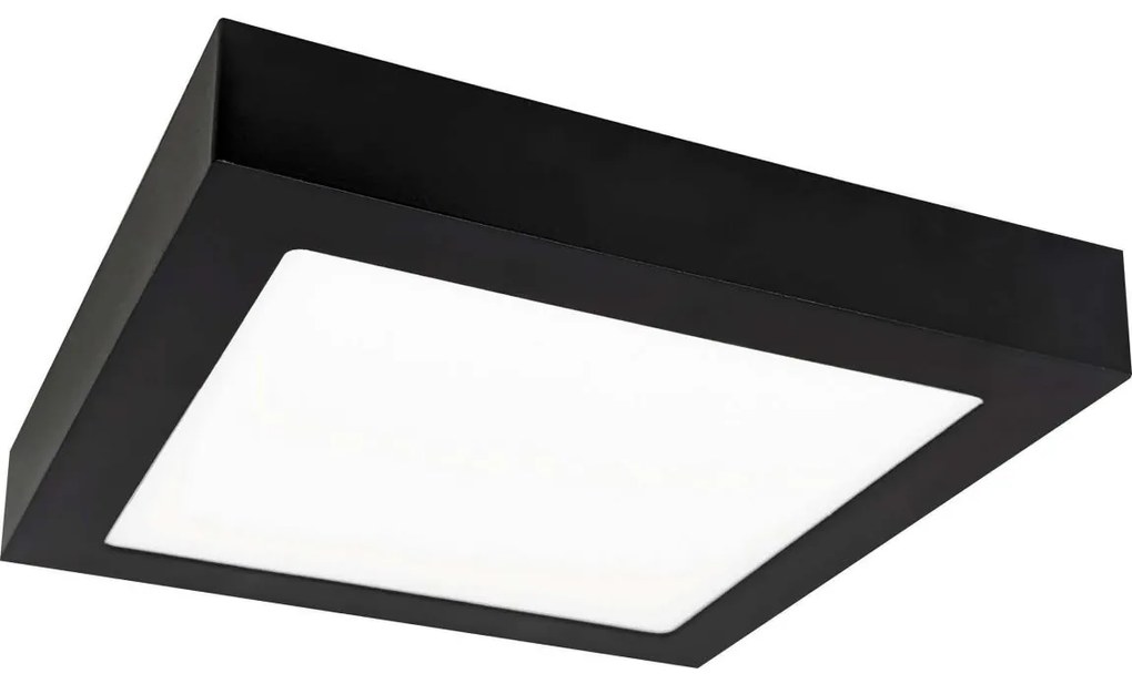 Plafonieră LED FENIX LED/18W/230V 3800K 22,5 cm