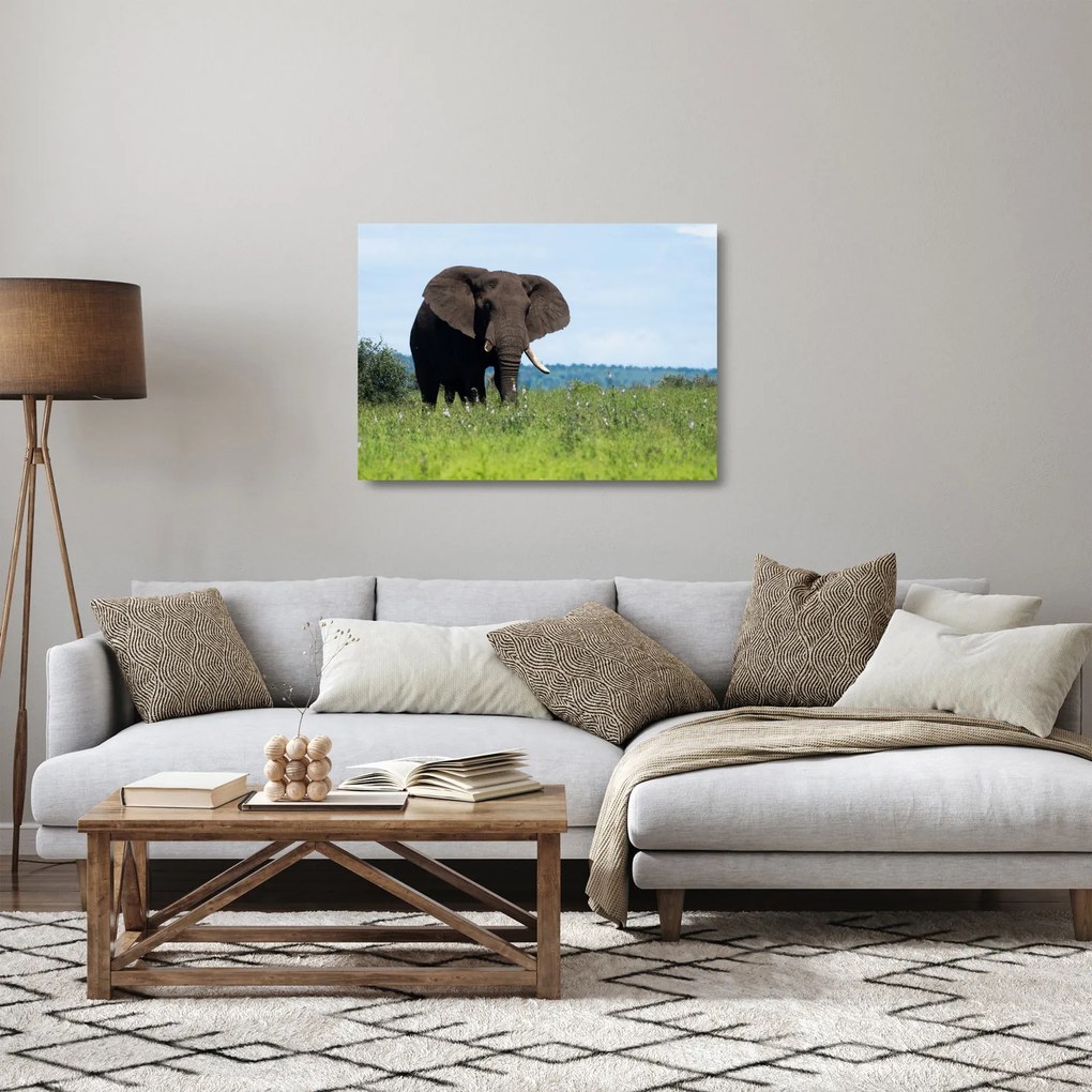 Tablou pe sticlă cu elefant (70x50 cm)