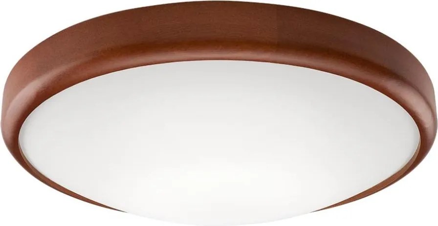 LED Plafonieră 1xLED/24W/230V