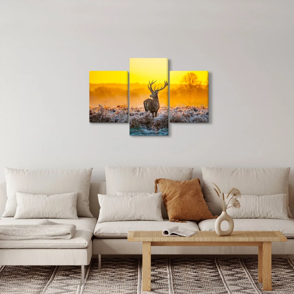 Tablou - Cerb la răsăritul soarelui (90x60 cm)