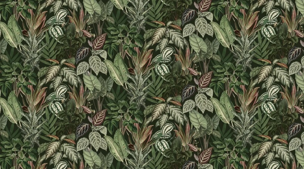 Fototapet, Mischievous Monkeys, Lush, Rebel Walls