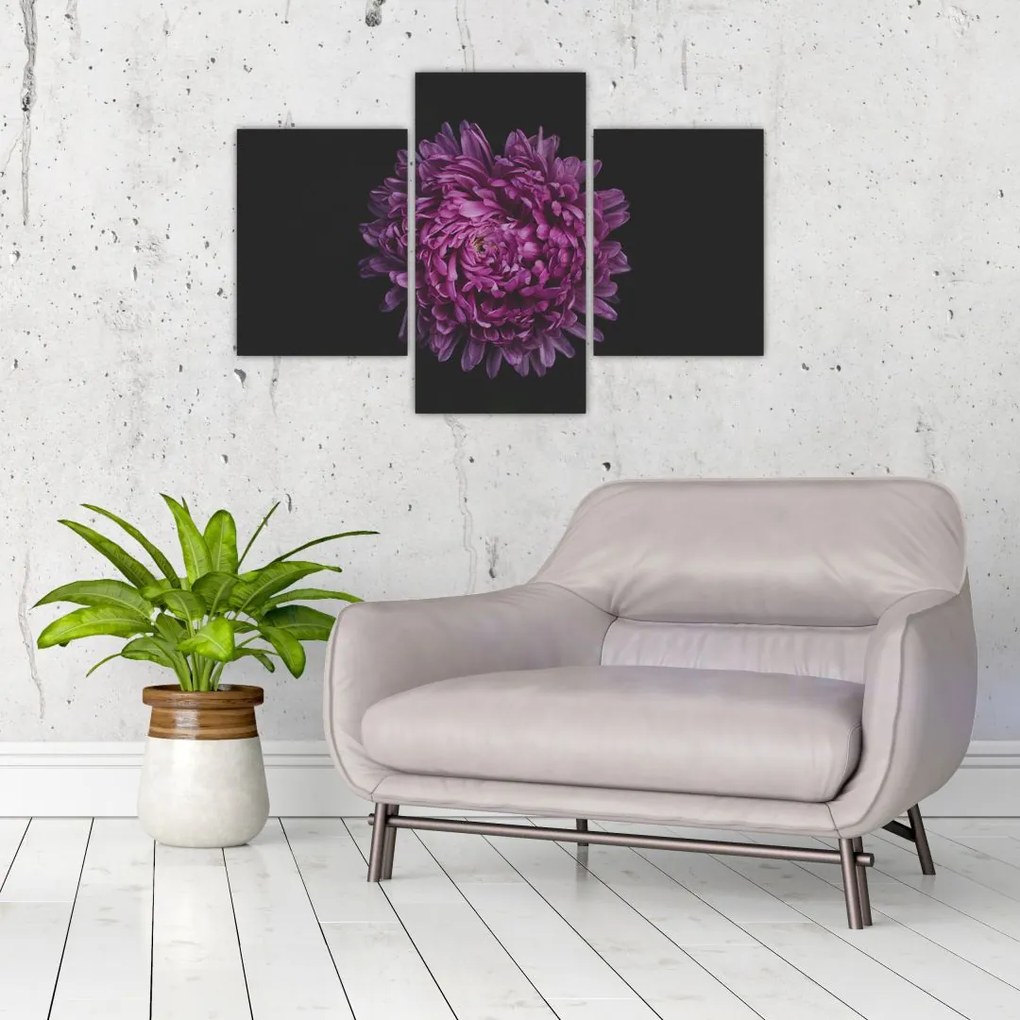 Tablou cu floare violetă (90x60 cm)